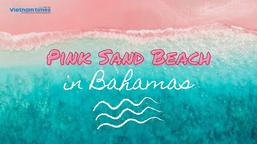 Exploring The Most Gorgeous Pink Sand Beach In The World
