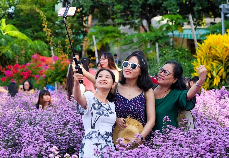 Crowd happily photographing Da Nang's first aster amellus garden