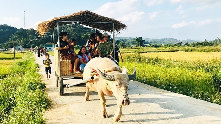 Foreign Media Talks about Sustainable Tourism in Dien Bien province