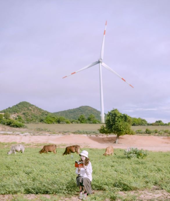 Discover the So-Called 'Mediterranean' of Vietnam