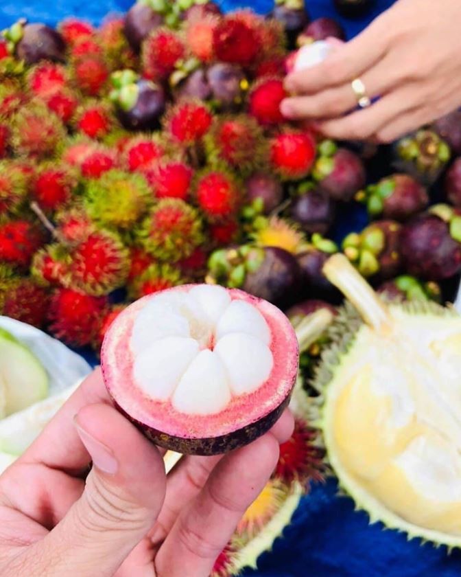 The land of tropical fruits. (Photo: To Quoc)