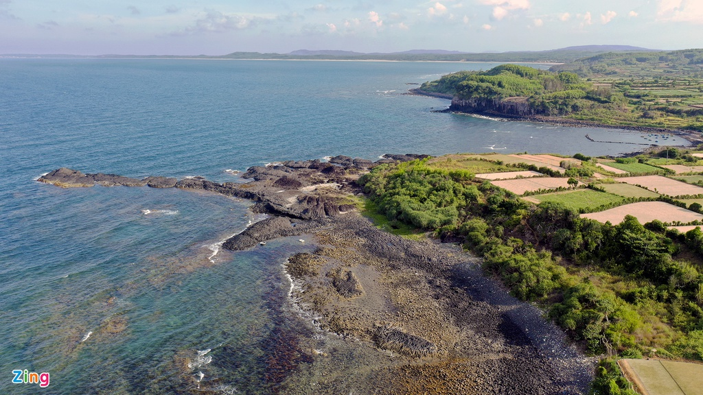 Unique open-air 'coral forest' on the Middle coast of Vietnam