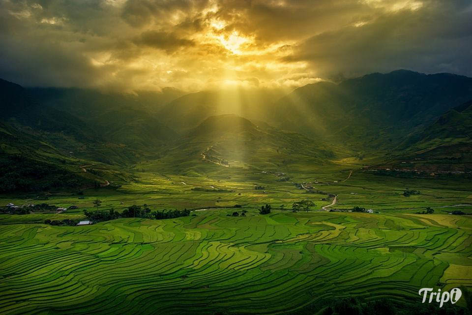 yen bai warms up mu cang chai terraced field festival