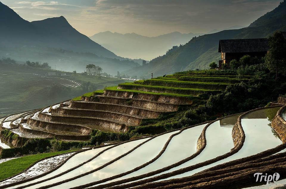 yen bai warms up mu cang chai terraced field festival