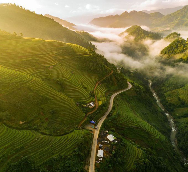 yen bai warms up mu cang chai terraced field festival