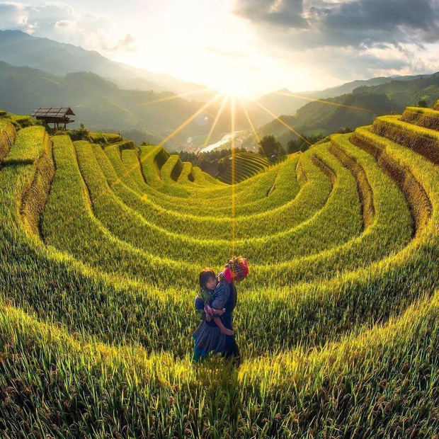 yen bai warms up mu cang chai terraced field festival