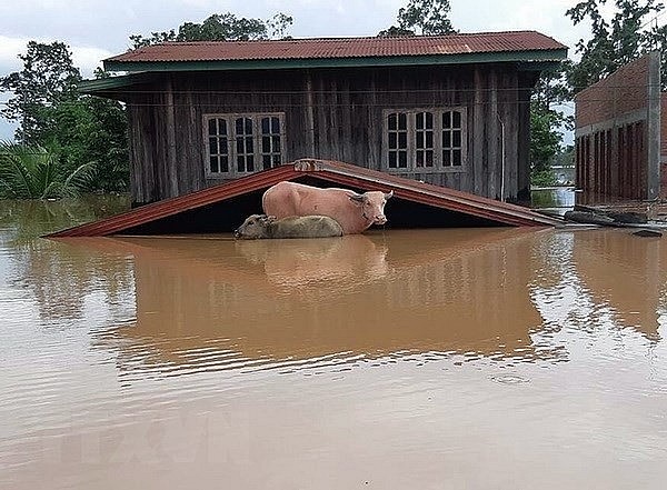 Thousands of People in Vietnam to Improve Disaster Response Skills