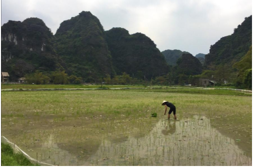 my dreamy adventure to viet hai village vietnam