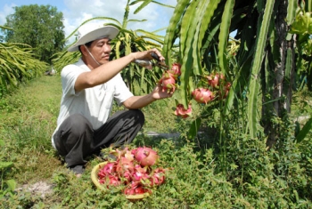 Agricultural product export in bustle back to Chinese market