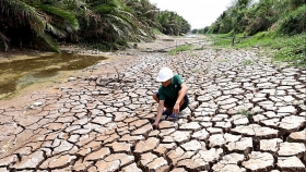 International rice prices hit 6-year high as Thailand and Vietnam face drought and Covid-19