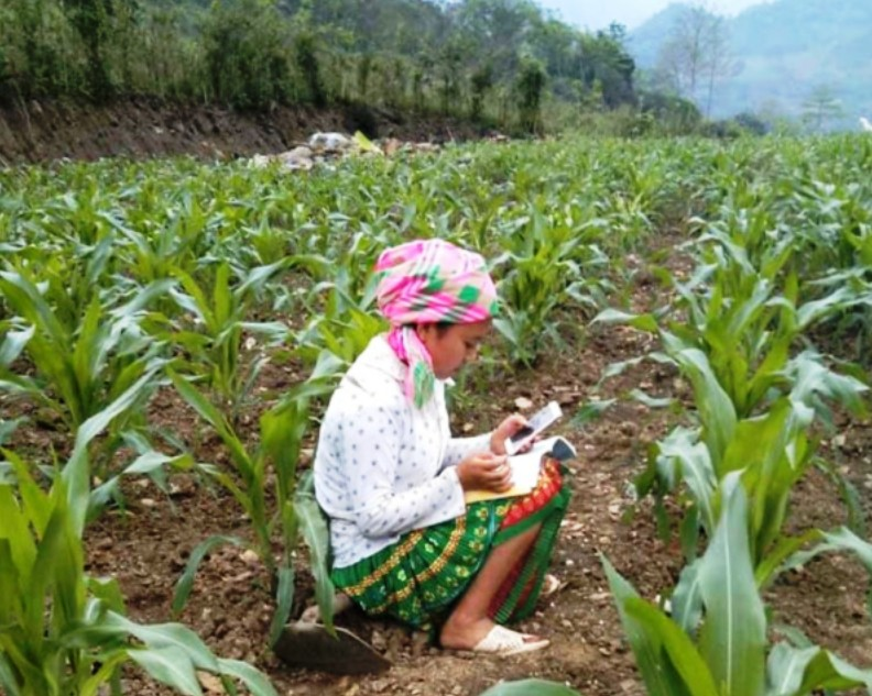 vietnam ethnic students make shacks on hills for e learning