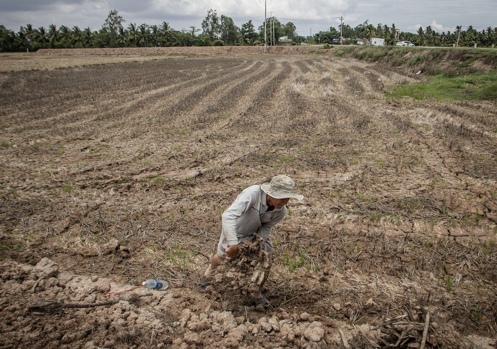 record drought and salinity with desperate fresh water shortage mekong delta crying for help
