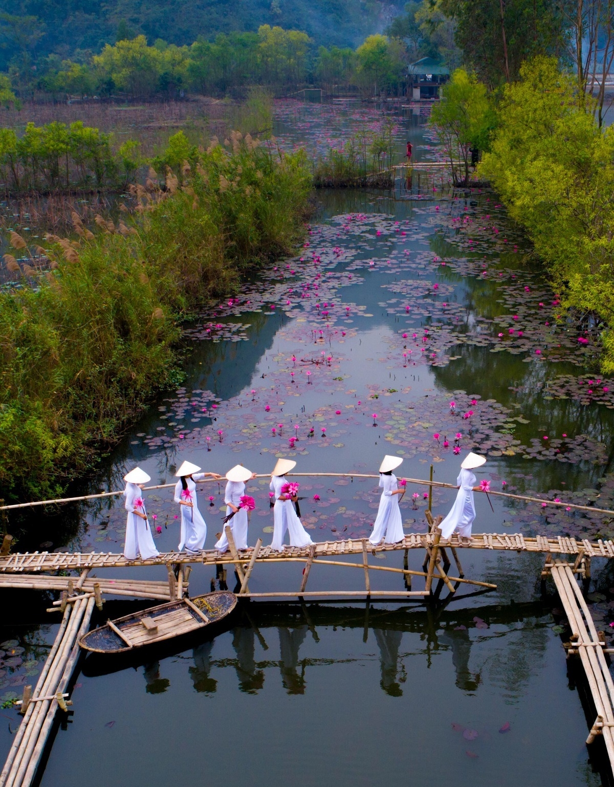 vietnam s water lily season photo won the international competitions first prize