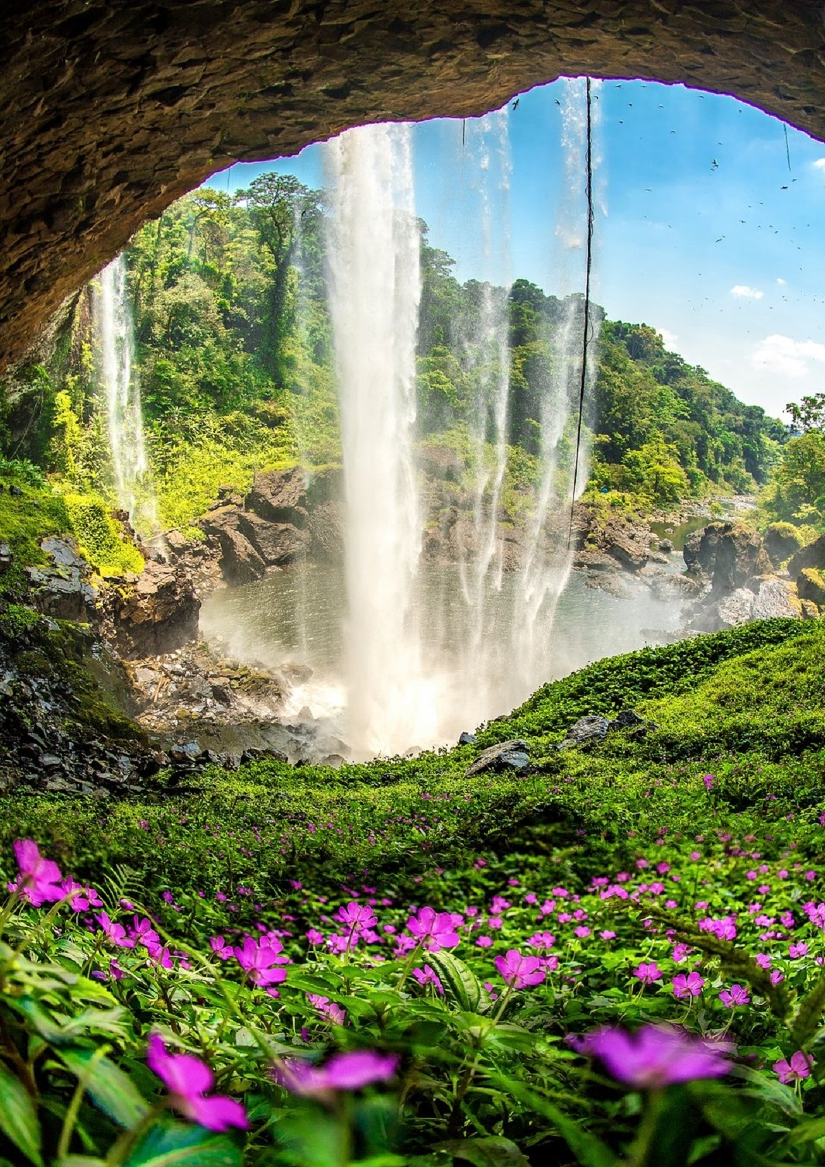 vietnam s water lily season photo won the international competitions first prize