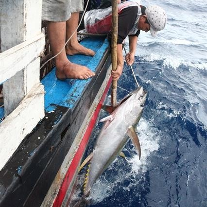 vietnam strengthens international cooperation for the marine economys sustainable development