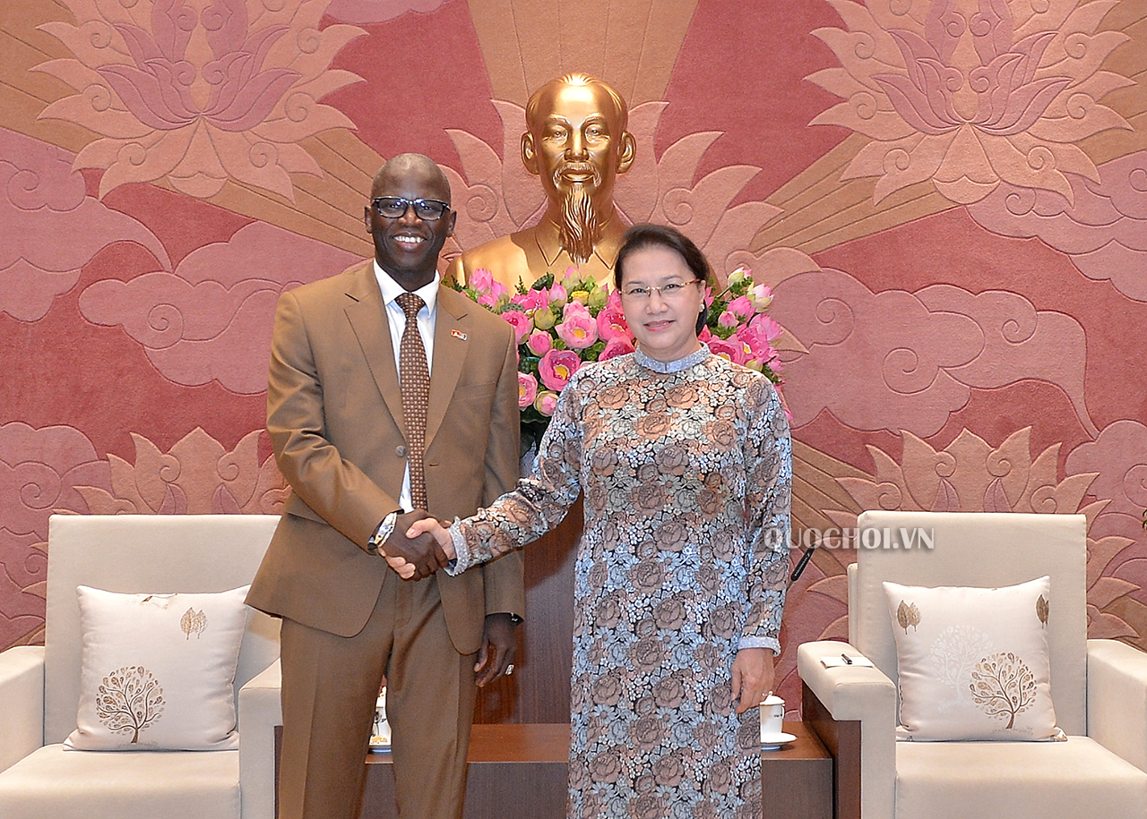 Vietnam NA Chairwoman meeting with the World Bank's Country Director for Vietnam