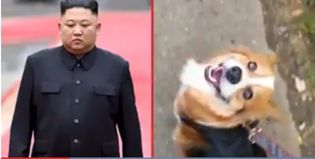 North Korean leader orders pet dogs to be confiscated in the capital amid food shortage