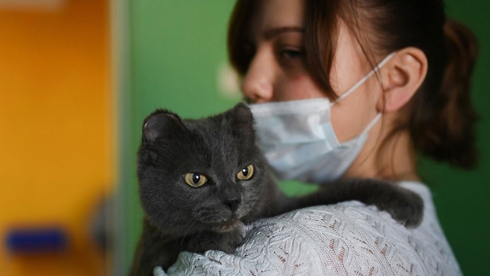 covid 19 patients warn of pets and how to care your pets during pandemic