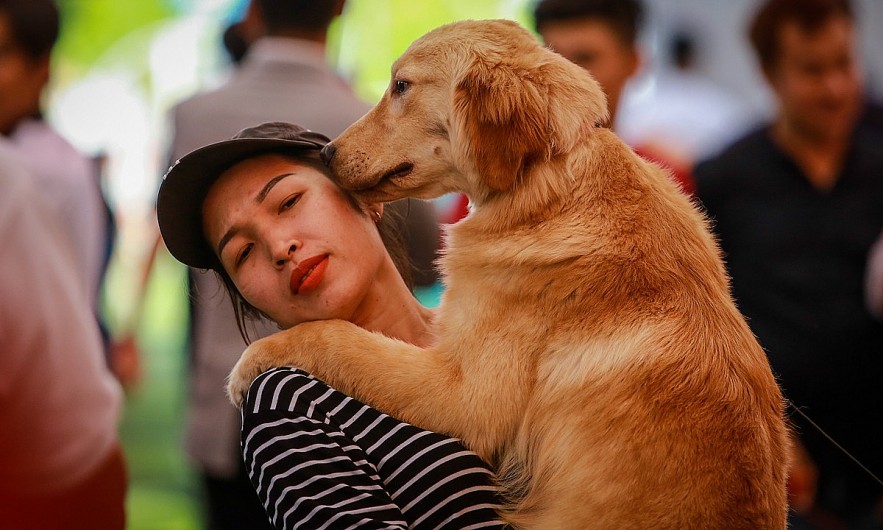 A woman carries a dog at the Vietnam Dog Show in HCMC, December 2017. Photo by VnExpress