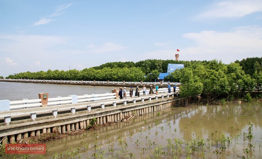 After the pandemic, Dat Mui Tourist Area is one of the ideal destinations for tourists when coming to Ca Mau. 