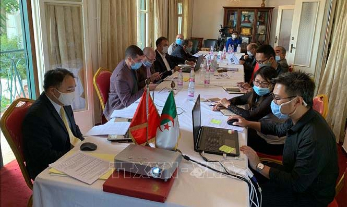 vietnam and algeria promote trade investment cooperation