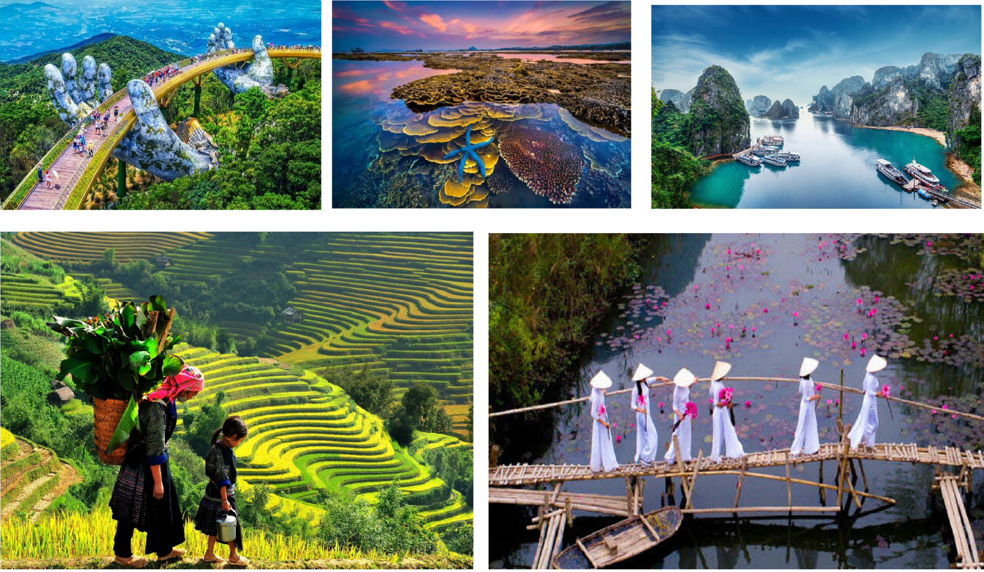 best vietnam travel tips and suggestions