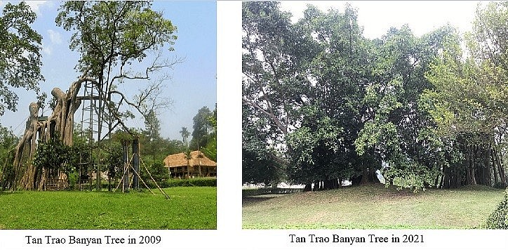 Explore Tuyen Quang: Staging a Revolution Under the Shade of a Banyan Tree
