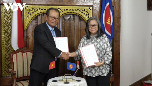 Vietnam contributes in the role of ASEAN Committee Chair in Czech Republic