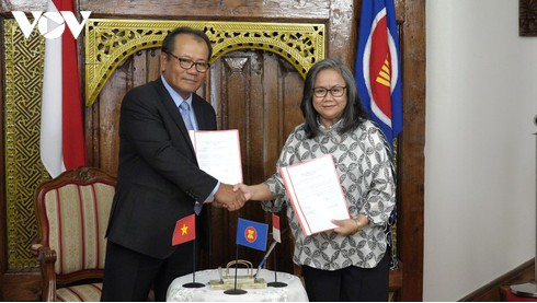 vietnam contributes in the role of asean committee chair in czech republic