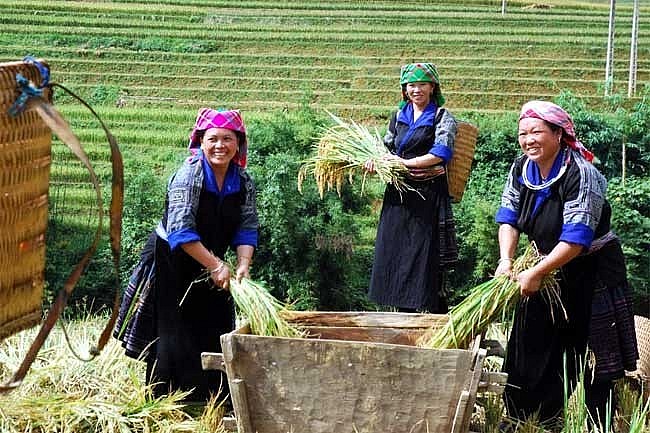 Poverty Reduction to Ensure Human Rights in Vietnam