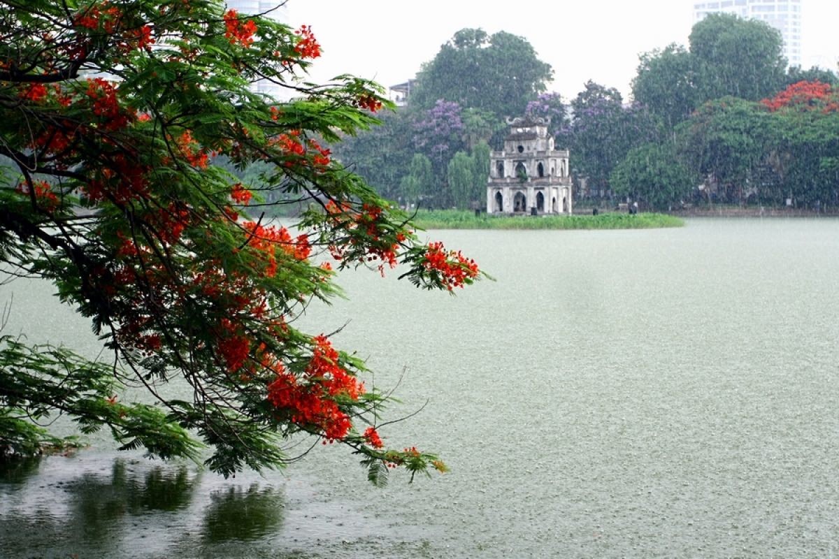vietnam news today jan 14 hanoi capital named among most popular destinations globally