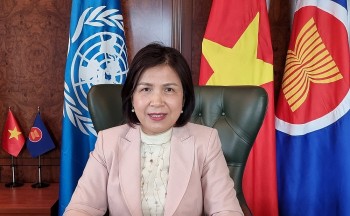 Vietnam's Impressive Multilateral Diplomacy in Human Rights