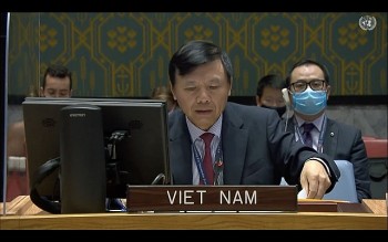Vietnam Shares Experience in Poverty Reduction, Crisis Settlement at UN Session