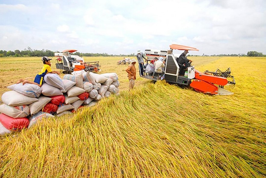 Vietnam Sets Sustainable Agriculture Plan