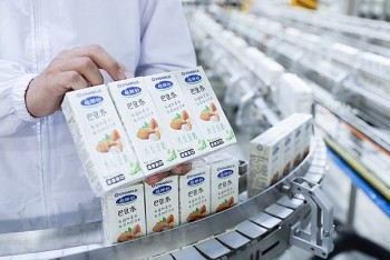 Vietnam News Today (Mar. 27): Local Dairy Products Make Foray into 56 Countries and Territories Globally