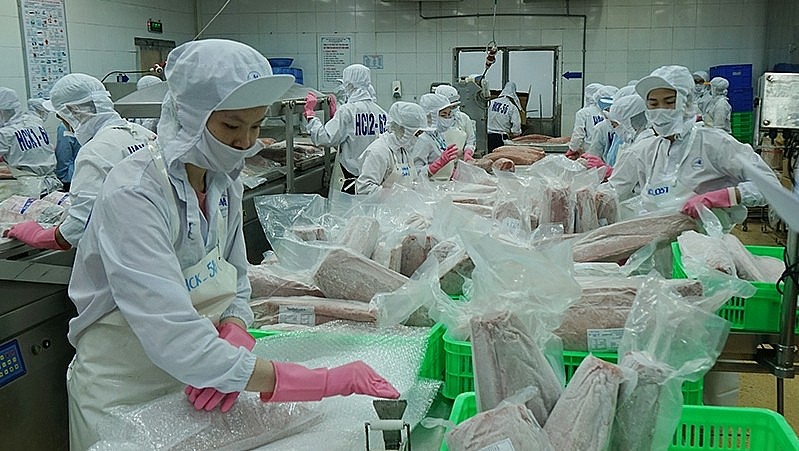 Processing tuna for export at BIDIFISCO. Photo: NDO