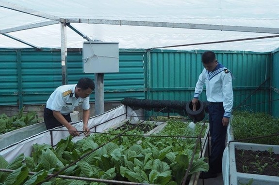 Growing Vegetables in Truong Sa (Spratly)