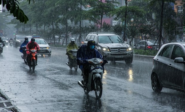 Vietnam News Today (May 31): Heavy Rains Forecast to Continue in Northern Localities