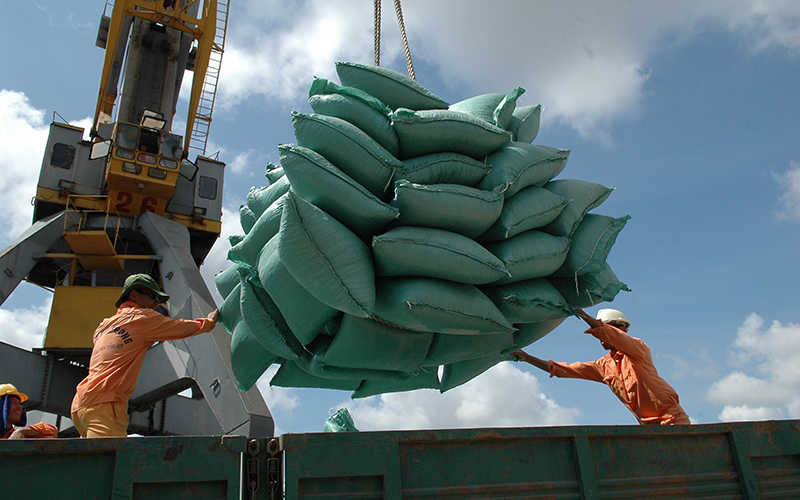 vietnams rice exports grow despite pandemic