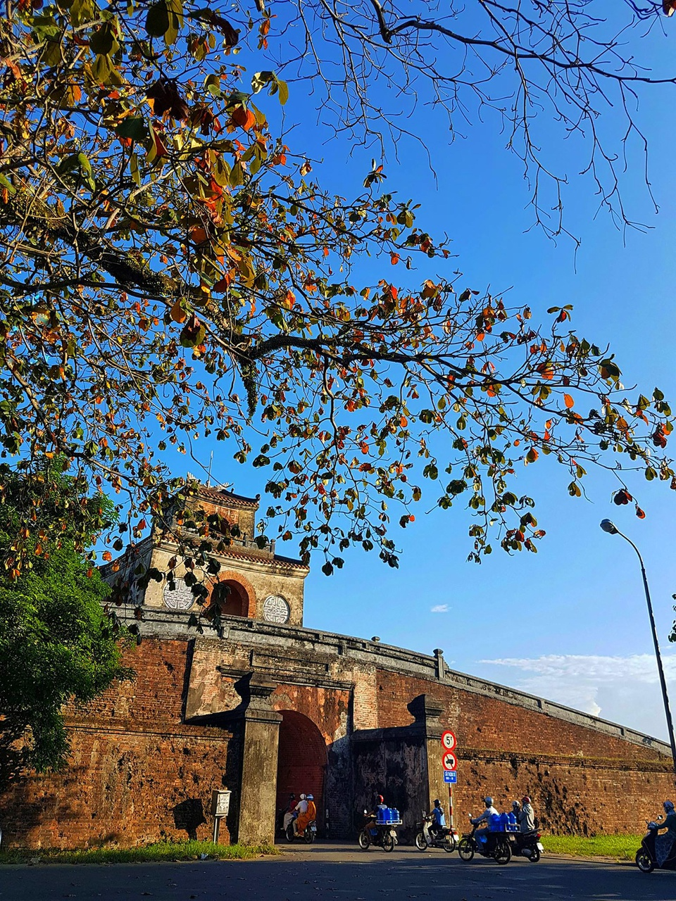 Hue's ancient citadel preserves royal history and natural beauty