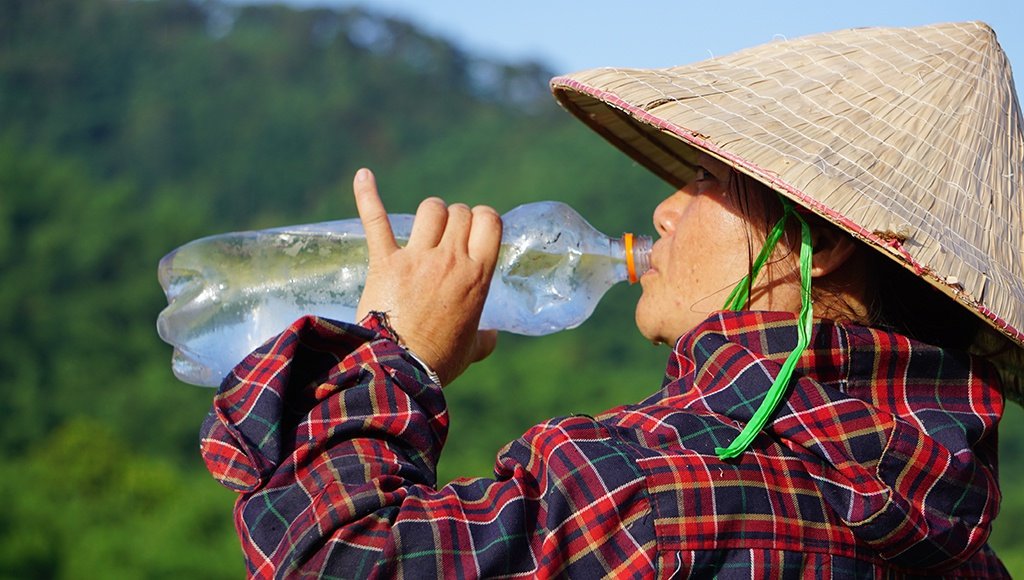 Rice harvest season in Thanh Hoa's terraced fields