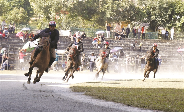 Bac Ha traditional horse race recognised as national intangible heritage