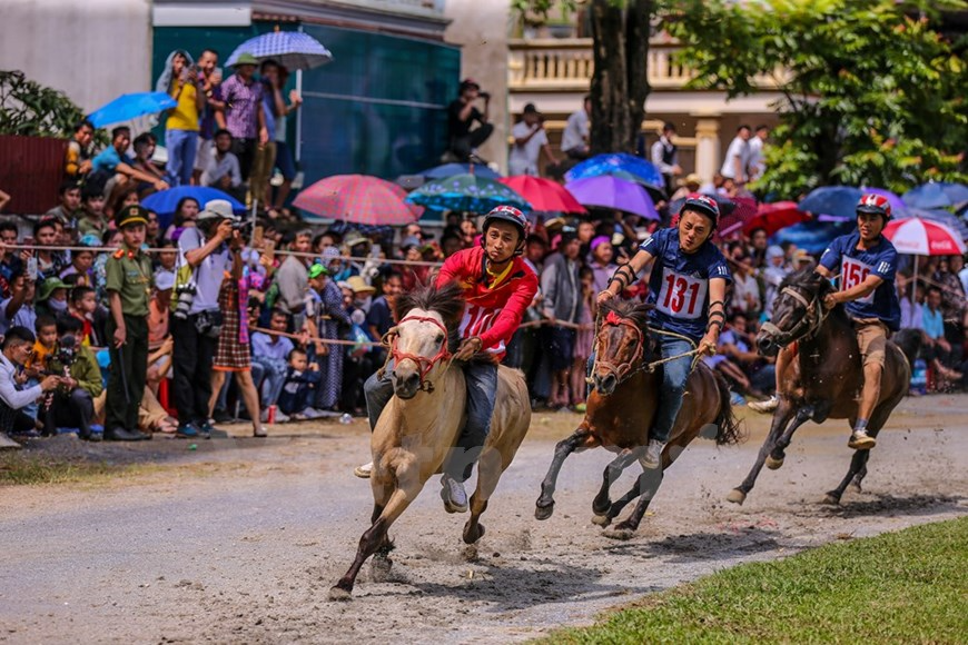 Bac Ha traditional horse race recognised as national intangible heritage