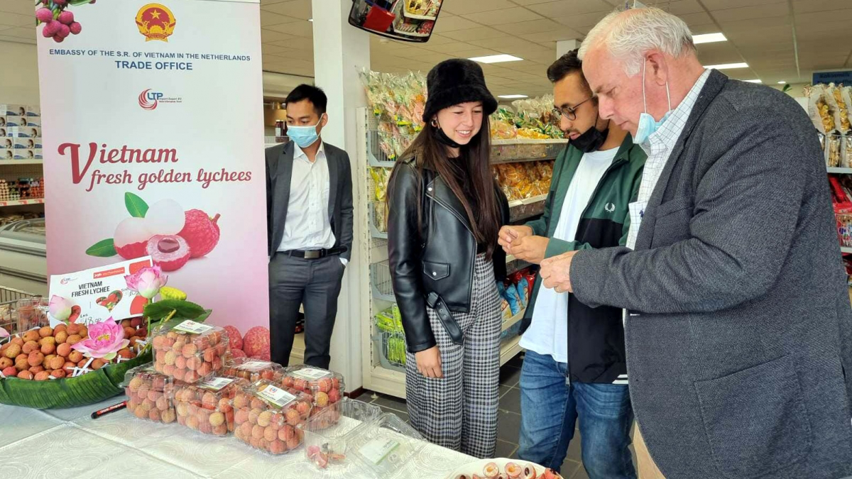 Vietnam's fresh lychees conquer international markets