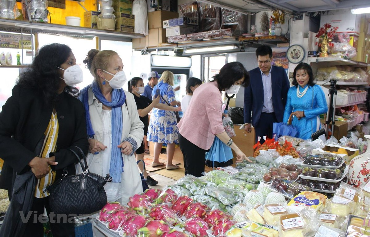 Vietnamese traditional culture impresses international friends in Czech Republic