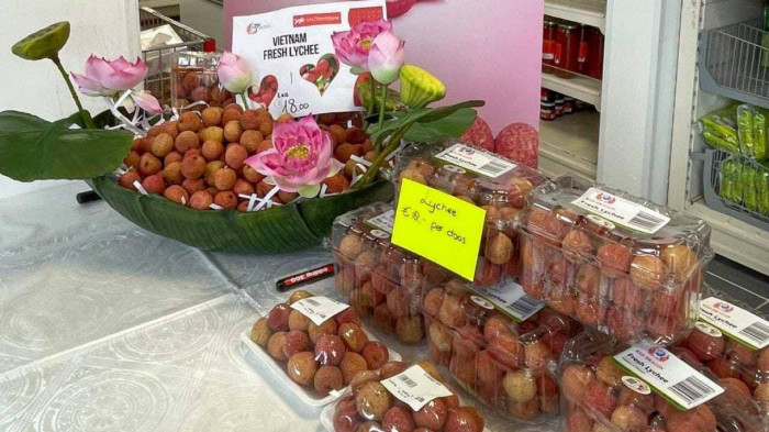 vietnamese lychees impress in international market