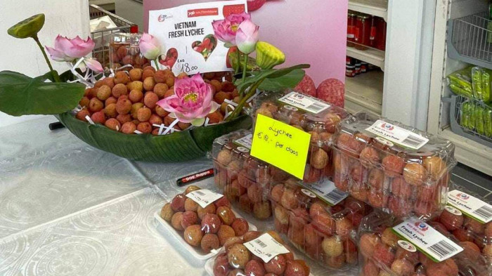 Vietnamese Lychees Impress in International Market