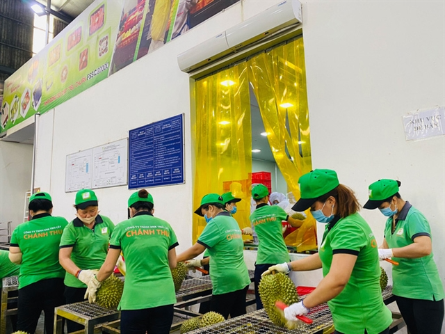 A fruit processing plant in the Cửu Long (Mekong) Delta. Photo: NLD