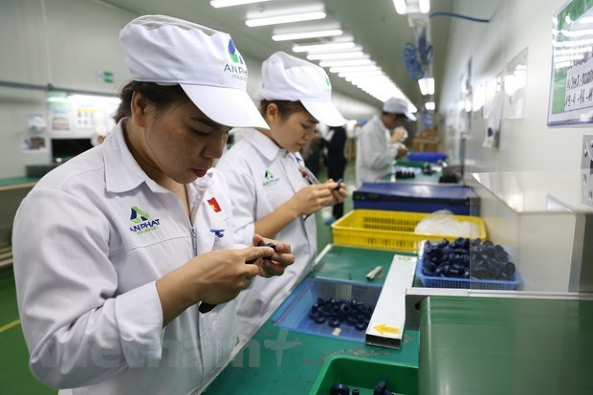 Overseas investment by Vietnamese firms neared US$547 million in the first half of 2021 (Illustrative photo: VNA)