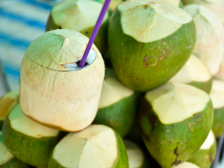 Fresh coconut. Photo: Viettravel